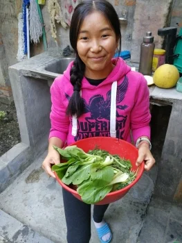 Doelma mit Pakchoi